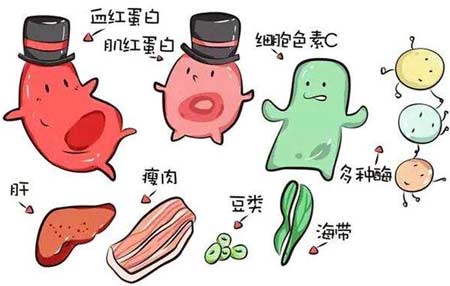 夜色下直播盒子APP廠家分析元素之間的協同作用