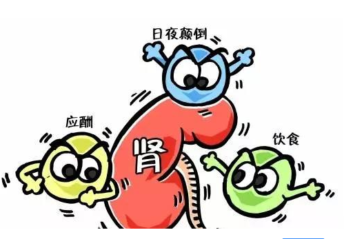 全自動夜色下直播盒子APP廠家談腎髒病與微量元素的關係