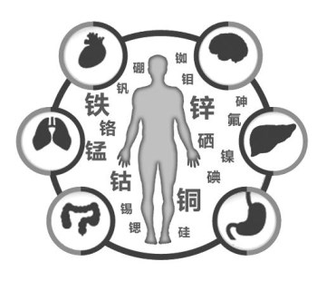 醫用亚洲夜色撩人国产AV廠家談微量元素的重要性 醫用亚洲夜色撩人国产AV廠家談微量元素的重要性