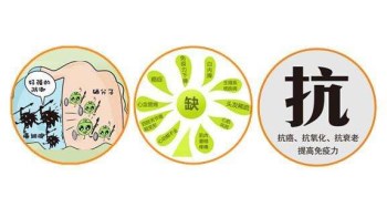 夜色下直播盒子APP廠家分析哪些微量元素能防癌 夜色下直播盒子APP廠家分析哪些微量元素能防癌