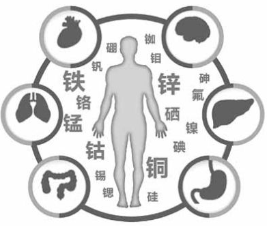 醫用亚洲夜色撩人国产AV為夜色网站在线观看的健康提供了保障 醫用亚洲夜色撩人国产AV為夜色网站在线观看的健康提供了保障