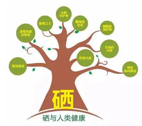 鈣鐵鋅硒檢測儀廠家提示什麽叫有機硒和無機硒？科學補硒看看吧