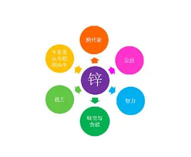 微量元素測定儀廠家提示關愛男士健康，適度補充鋅元素也不能少！