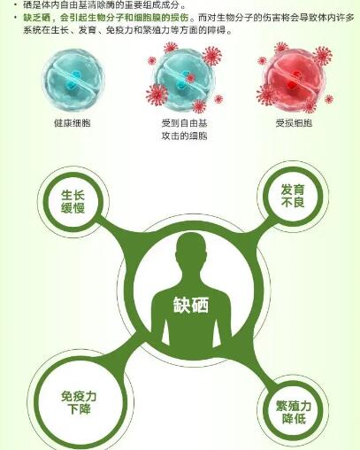 醫用夜色下直播盒子APP廠家提醒關愛男性健康，硒元素也不能少！