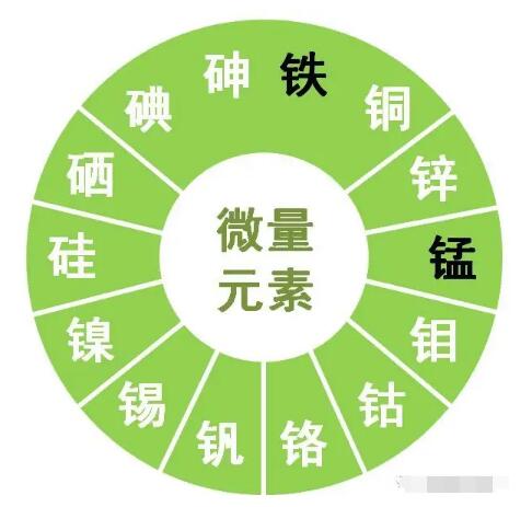 亚洲夜色撩人国产AV提示鋅、硒、錳、釩等微量元素對男性生育有哪些作用？